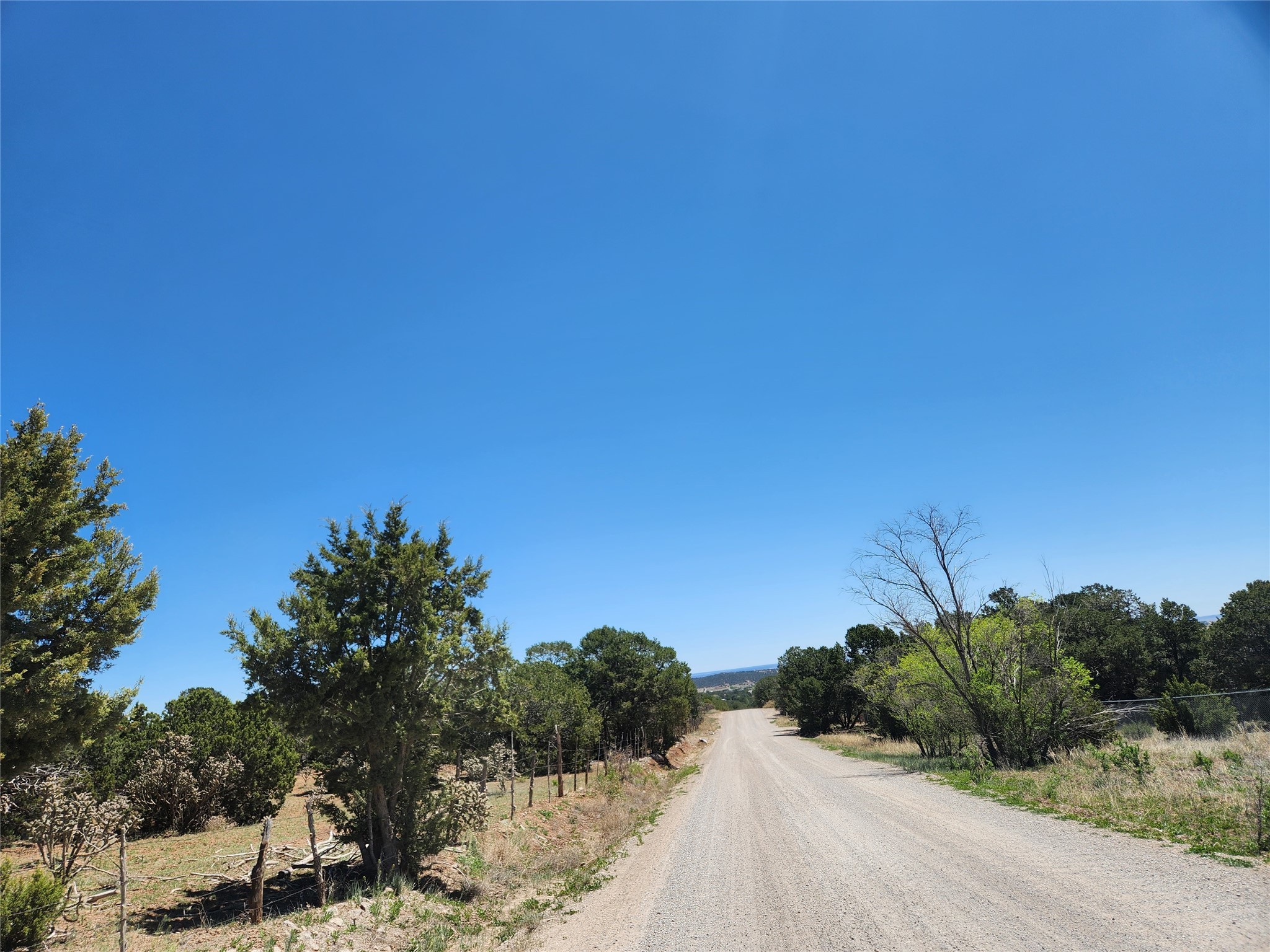 XXXX N Vista Valle Drive, Tijeras, New Mexico image 2