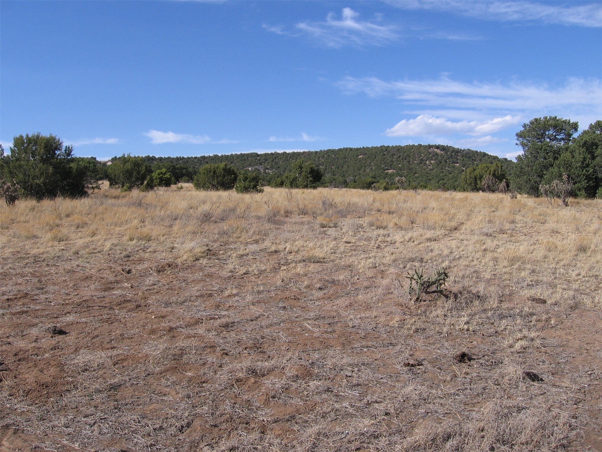 XXXX N Vista Valle Drive, Tijeras, New Mexico image 7