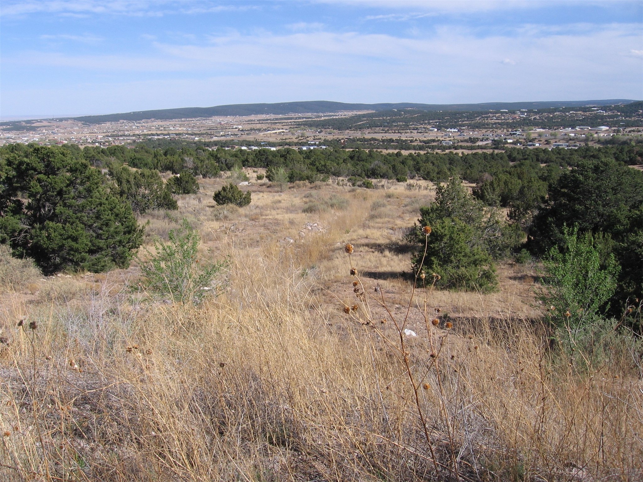 XXXX N Vista Valle Drive, Tijeras, New Mexico image 9