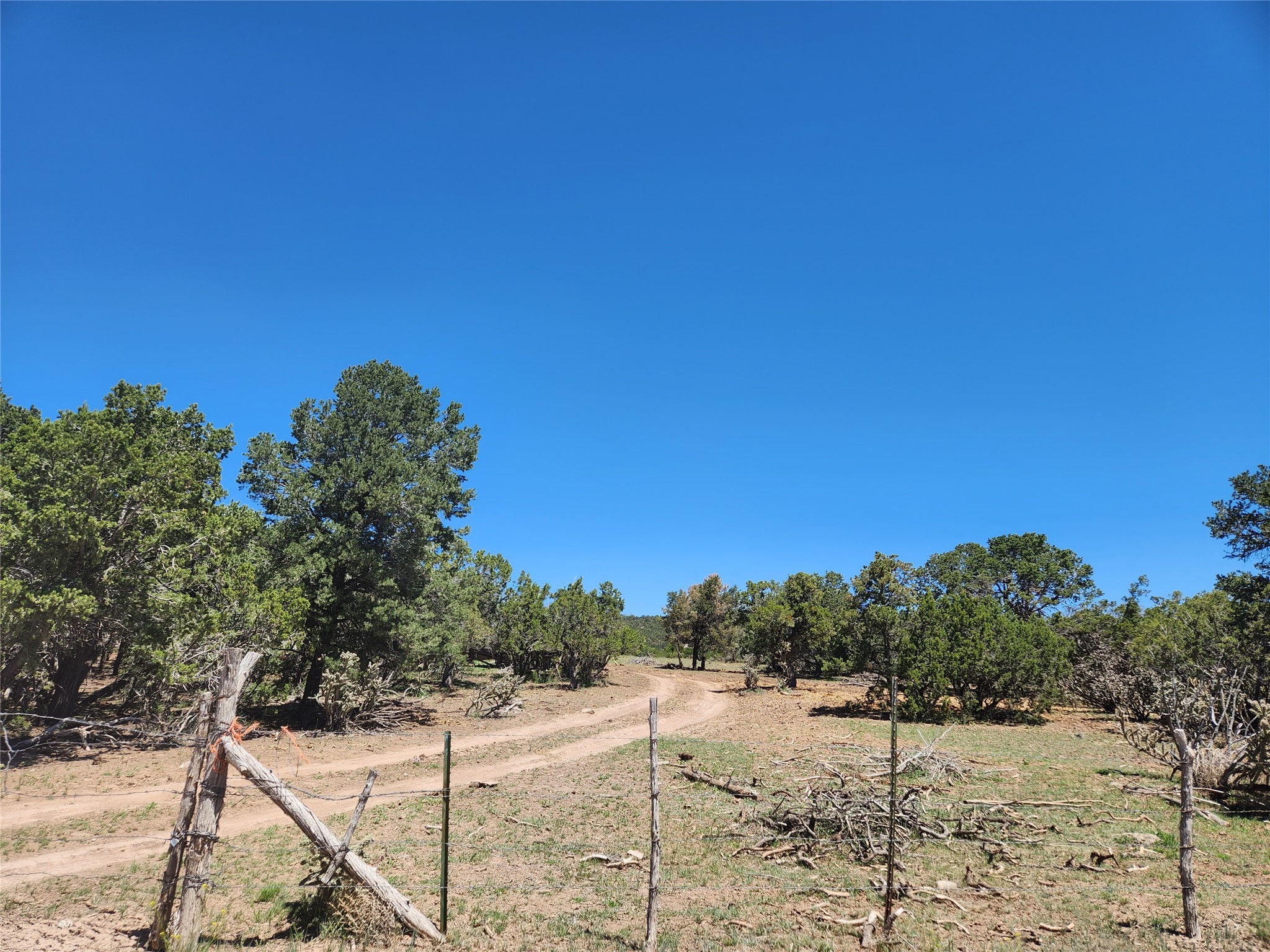 XXXX N Vista Valle Drive, Tijeras, New Mexico image 3