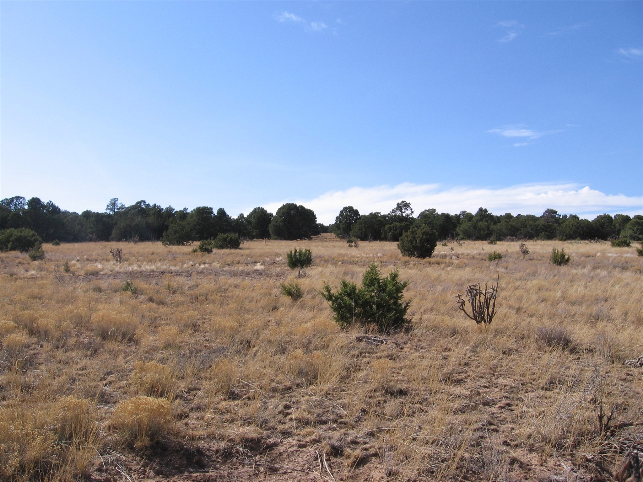 XXXX N Vista Valle Drive, Tijeras, New Mexico image 8