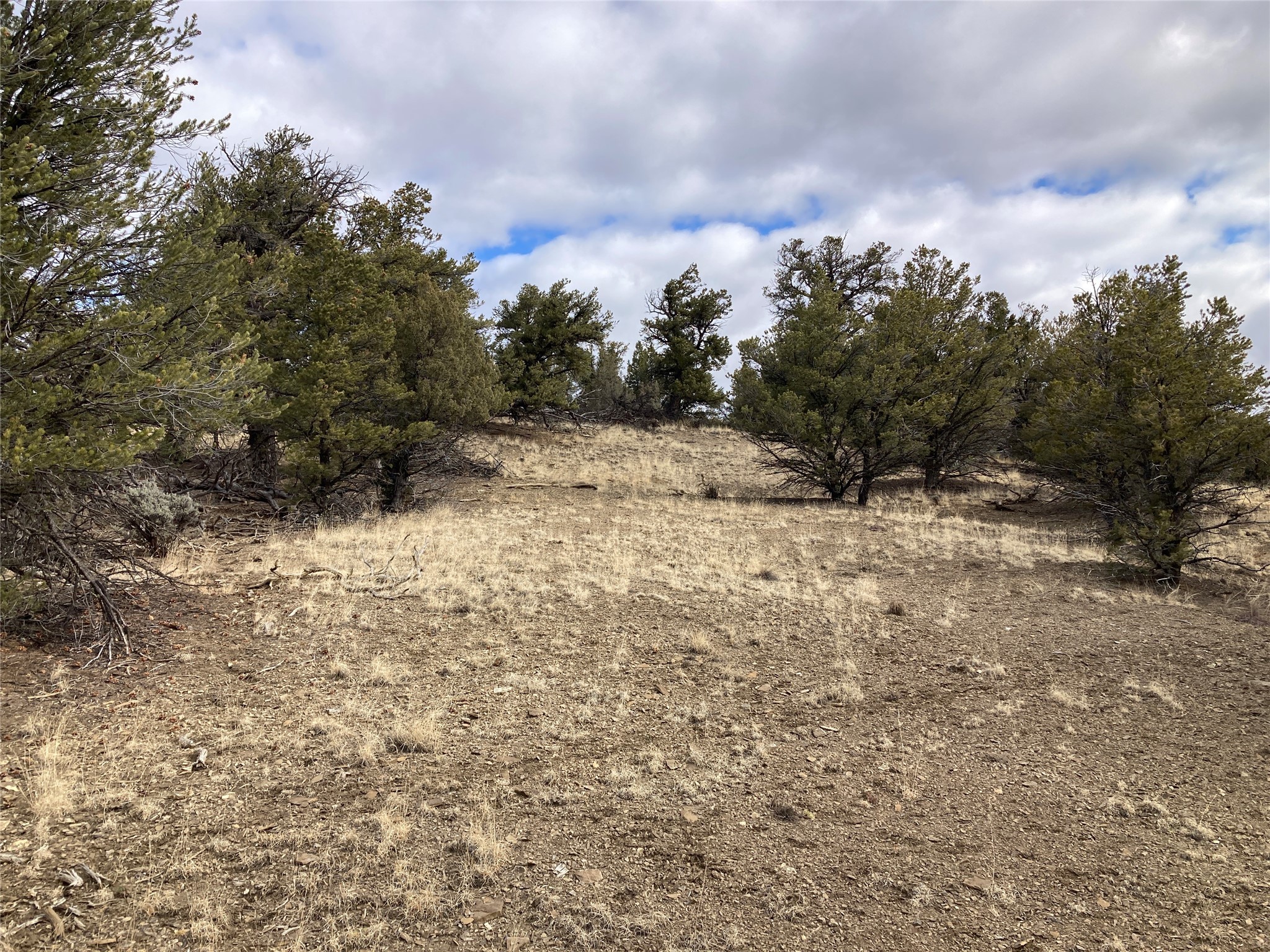 TBD El Vado Lakes U 4 Tr 11, Tierra Amarilla, New Mexico image 9