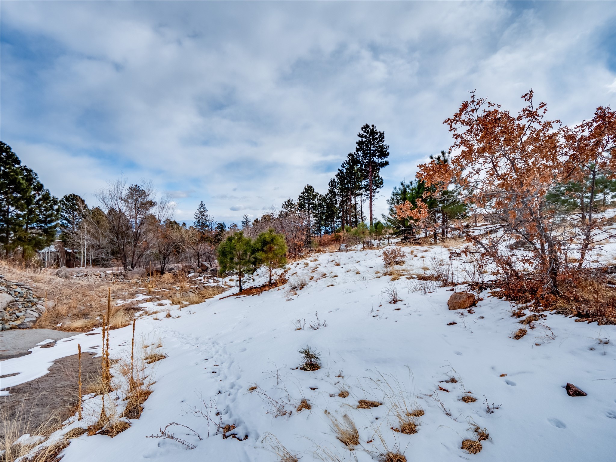 5155 Quemazon, Los Alamos, New Mexico image 15