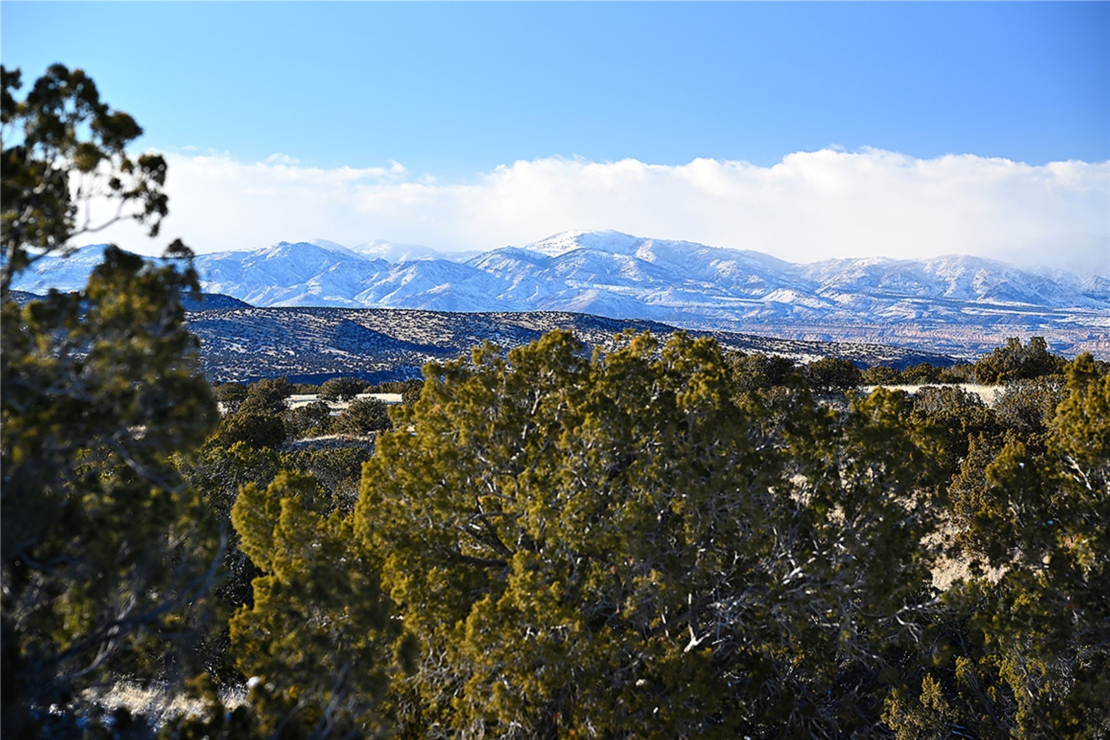 8 Camino Rosillo #LOT 95, Santa Fe, New Mexico image 16