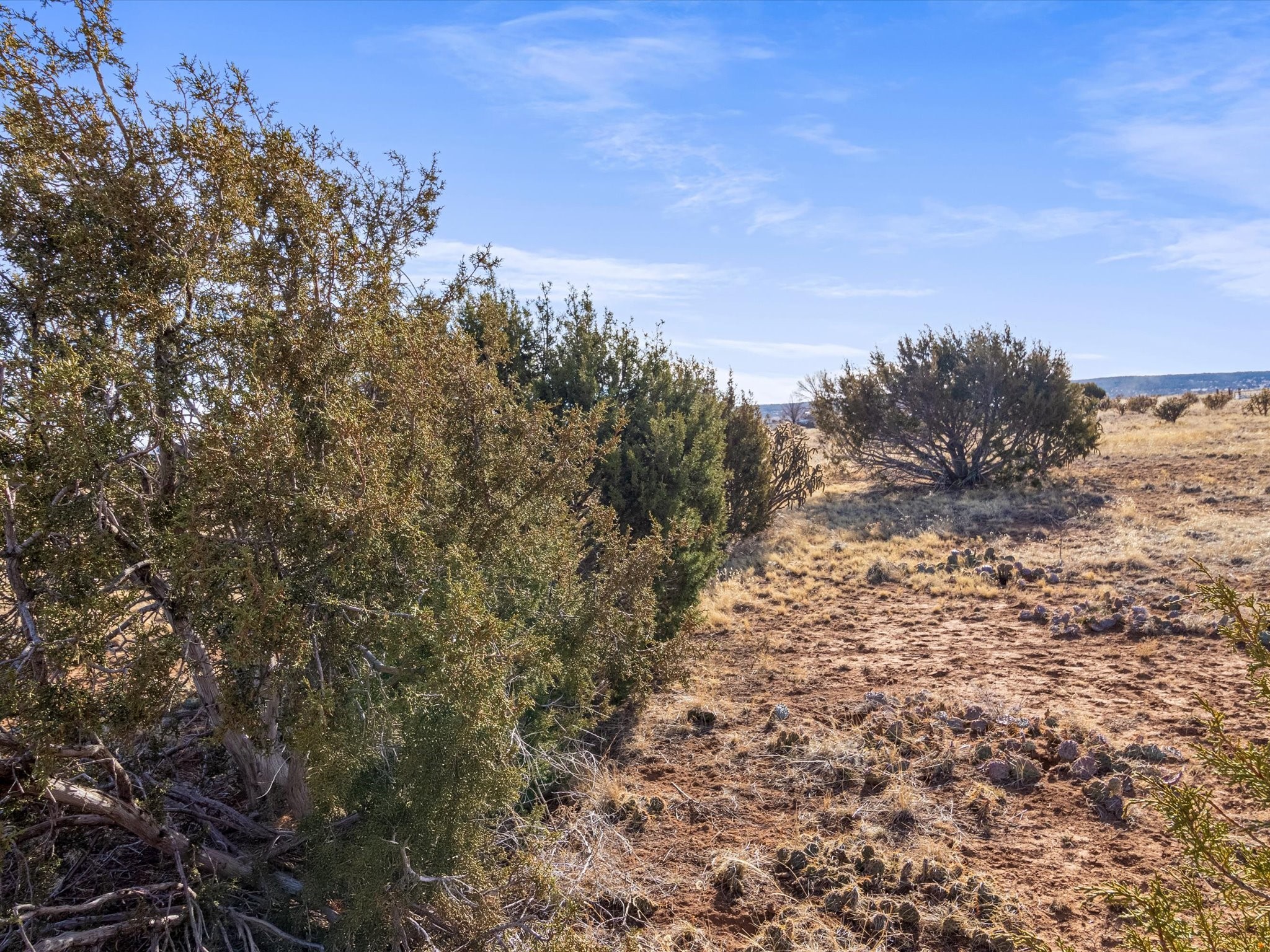 18 Horton Loop, Edgewood, New Mexico image 22