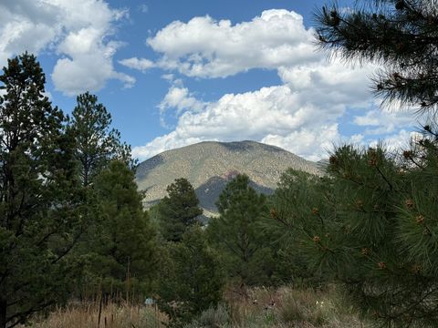 Homes For Sale - 2318 Old Red River Road<br/> Taos County, Questa, NM 87556