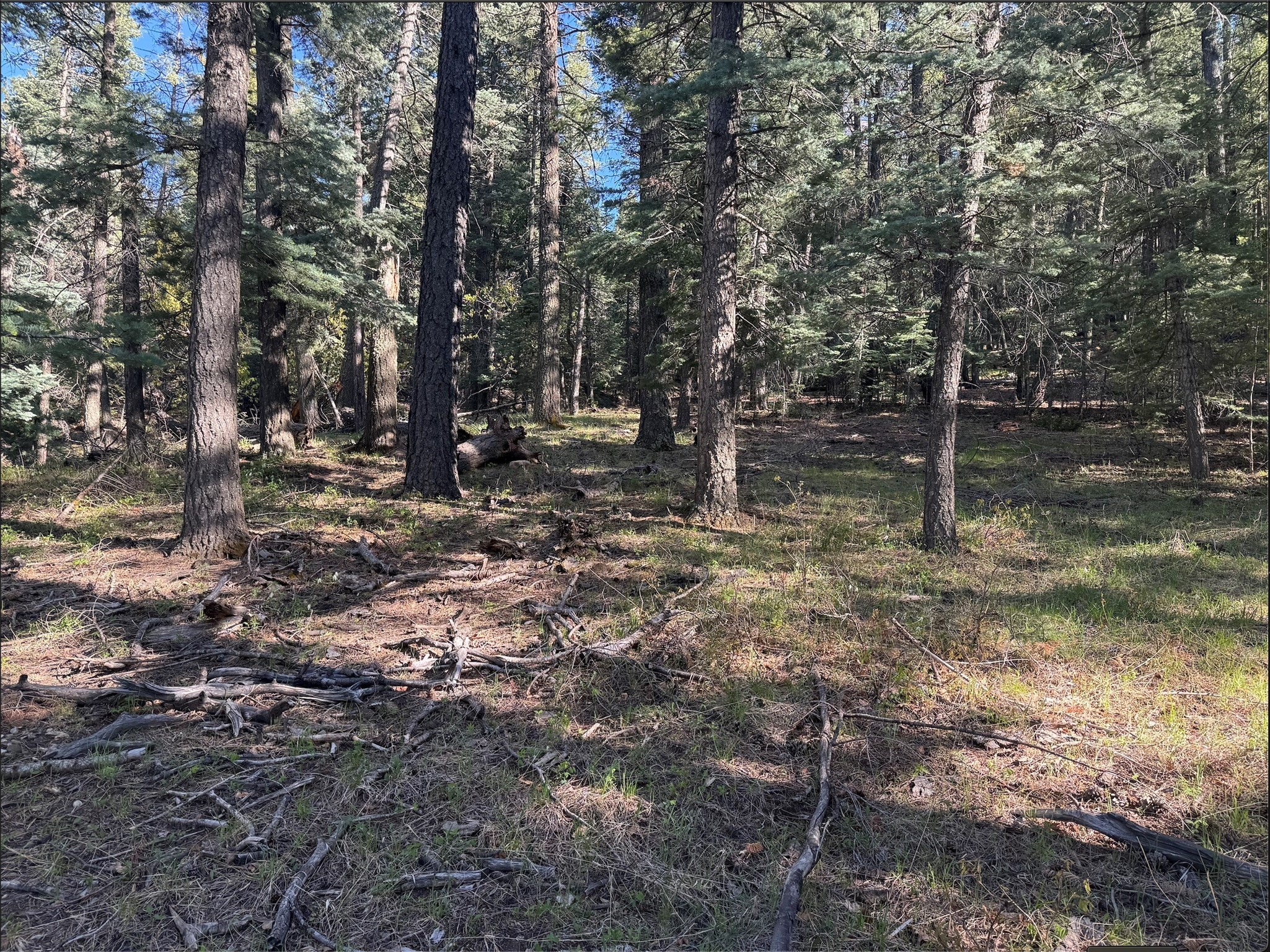 7 W Meadow Lane, Sapello, New Mexico image 22