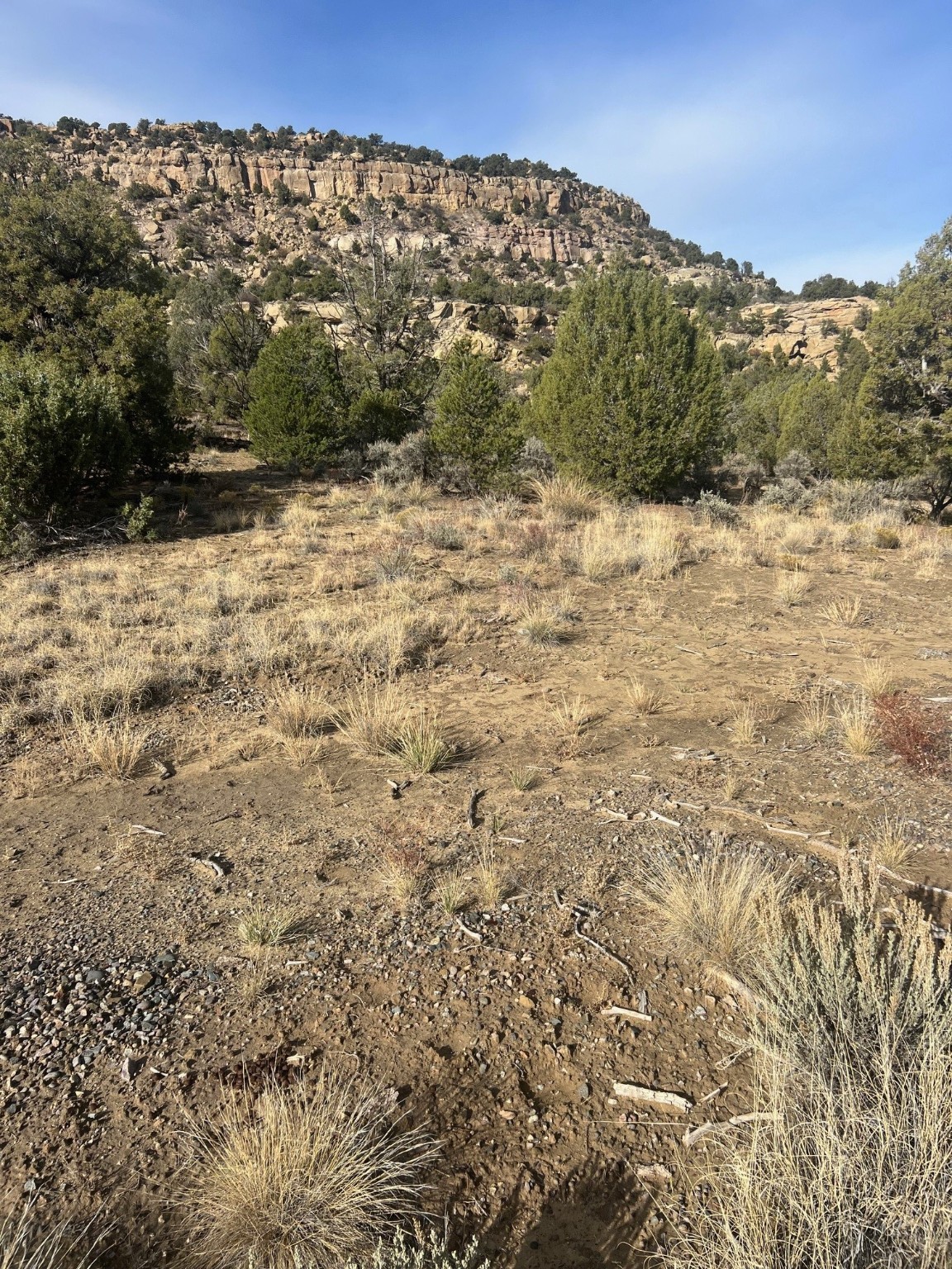 Navajo City Acres, Navajo Dam, New Mexico image 2