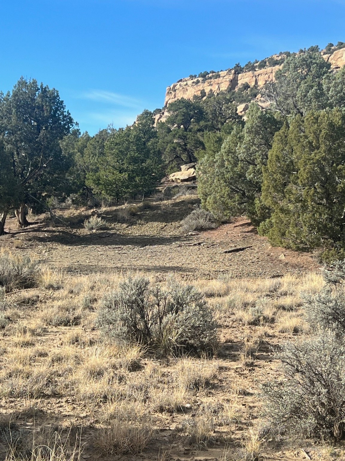 Navajo City Acres, Navajo Dam, New Mexico image 1