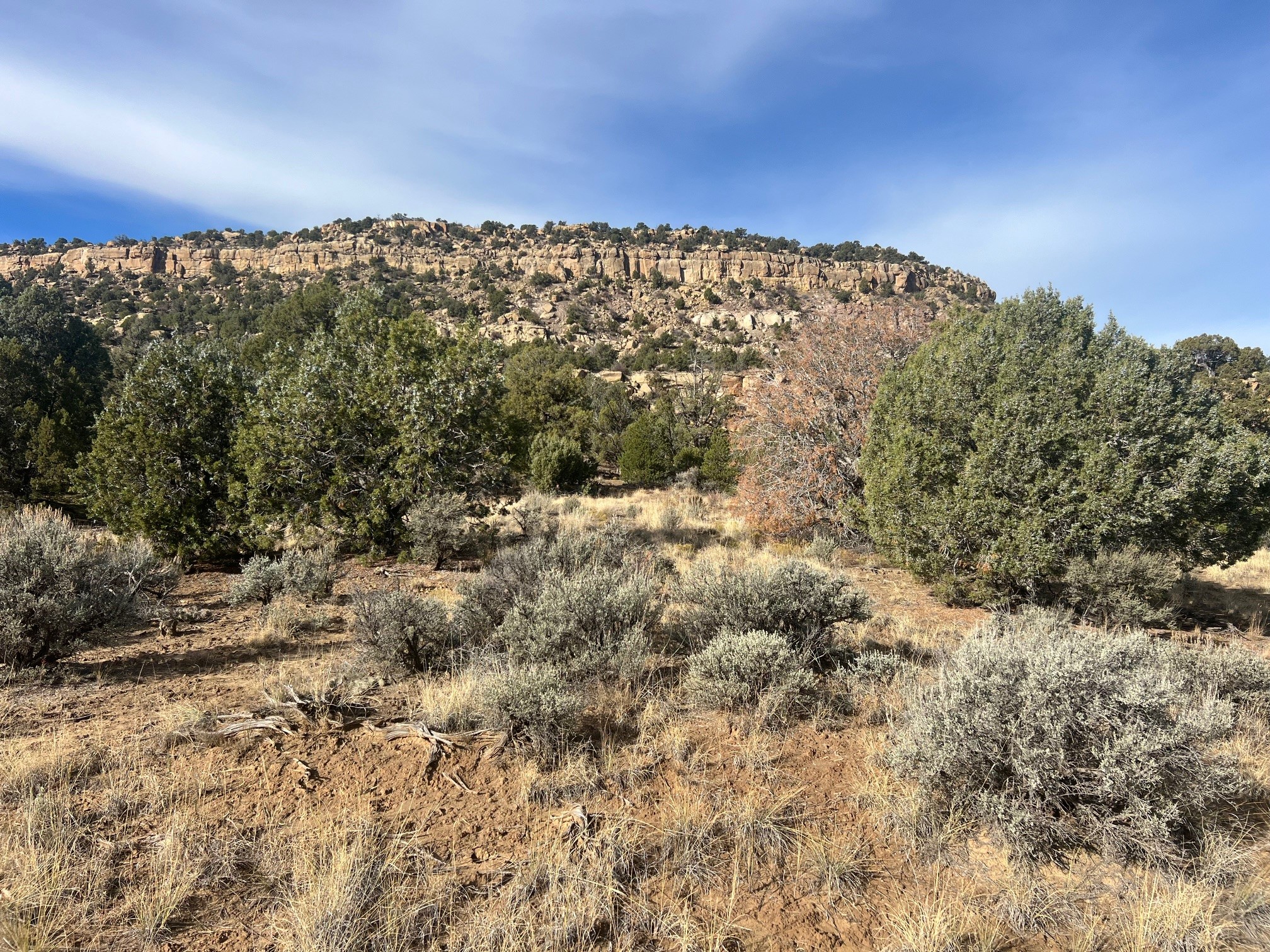 Navajo City Acres, Navajo Dam, New Mexico image 6