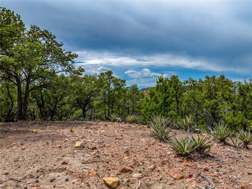 2505 Camino Sarita, Santa Fe, New Mexico image 7
