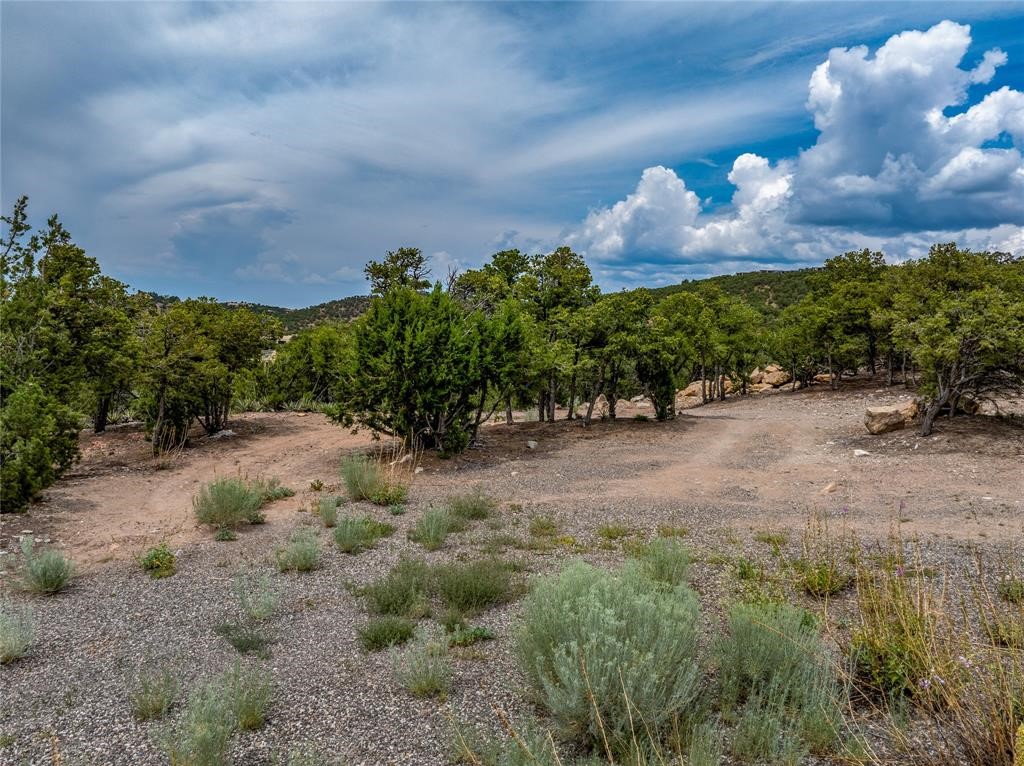 2505 Camino Sarita, Santa Fe, New Mexico image 12