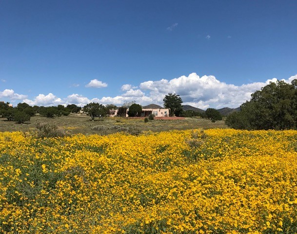 47 Encantado Road, Santa Fe, New Mexico image 22