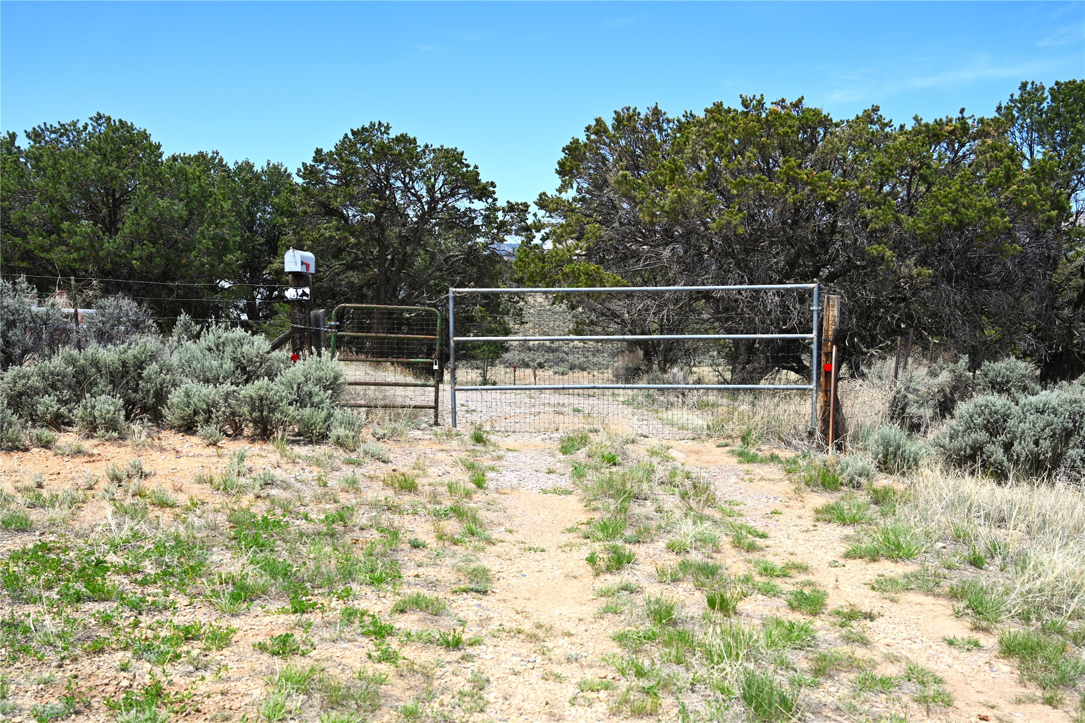 52 Canjillon, Tierra Amarilla, New Mexico image 35