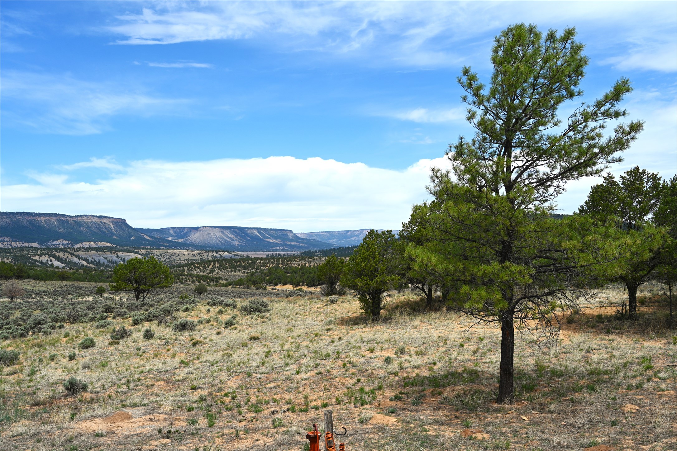 52 Canjillon, Tierra Amarilla, New Mexico image 15