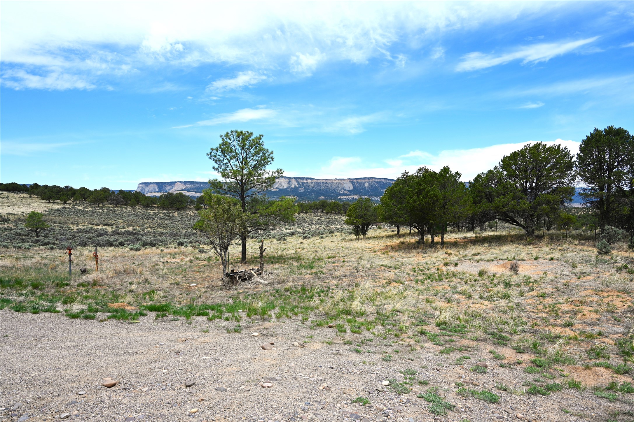 52 Canjillon, Tierra Amarilla, New Mexico image 1