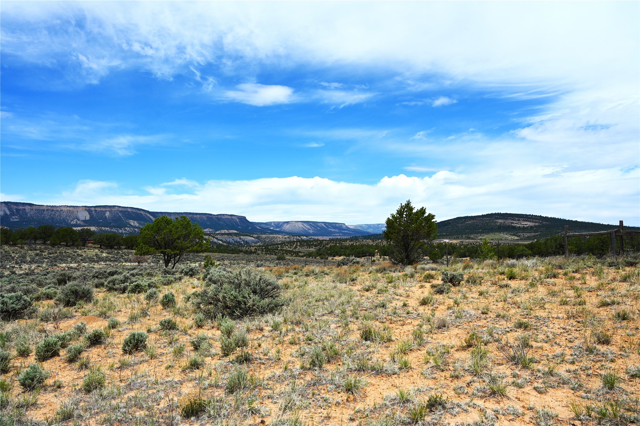 52 Canjillon, Tierra Amarilla, New Mexico image 7