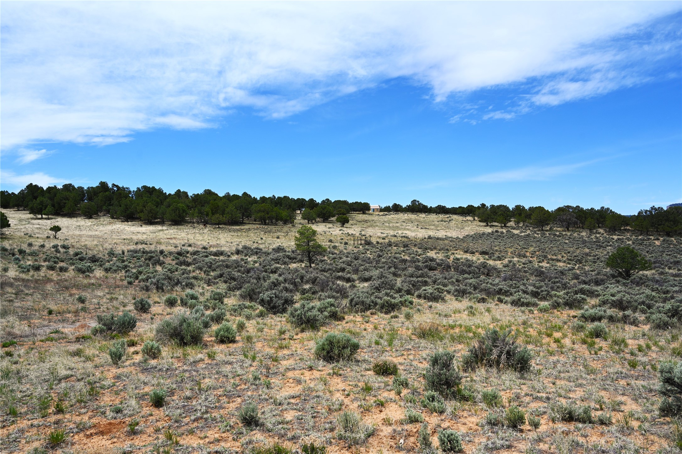 52 Canjillon, Tierra Amarilla, New Mexico image 5
