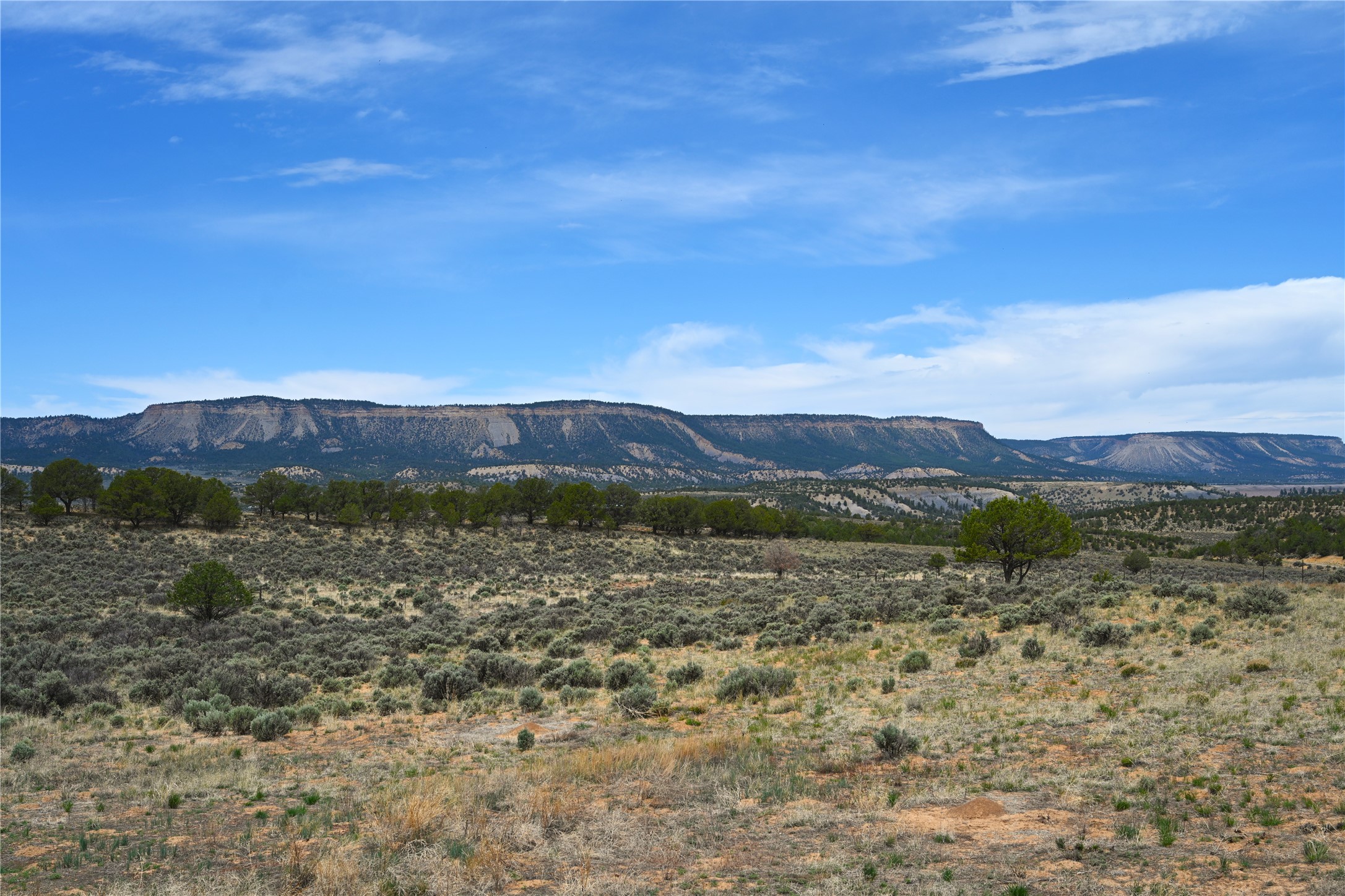 52 Canjillon, Tierra Amarilla, New Mexico image 16
