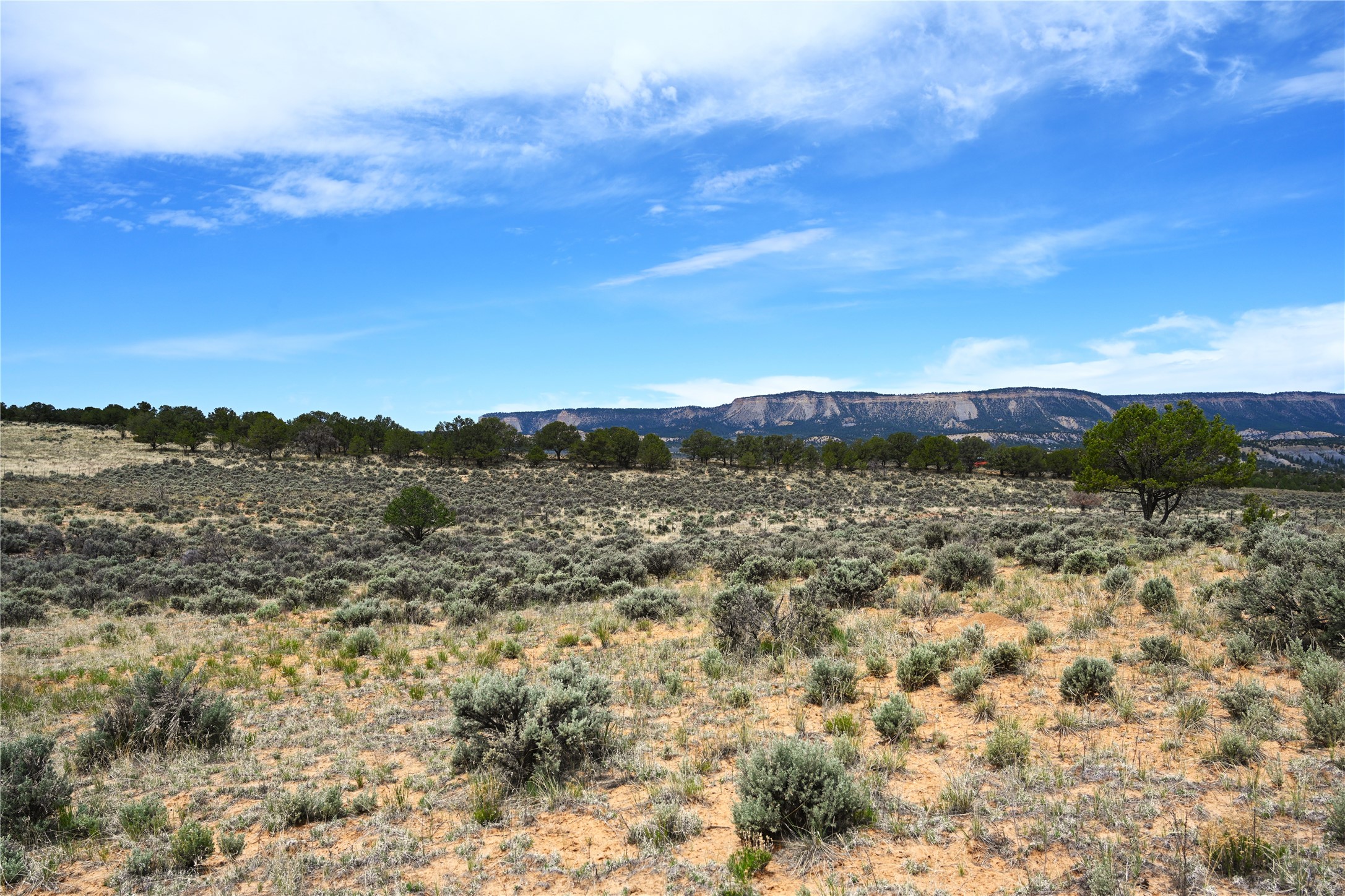 52 Canjillon, Tierra Amarilla, New Mexico image 6