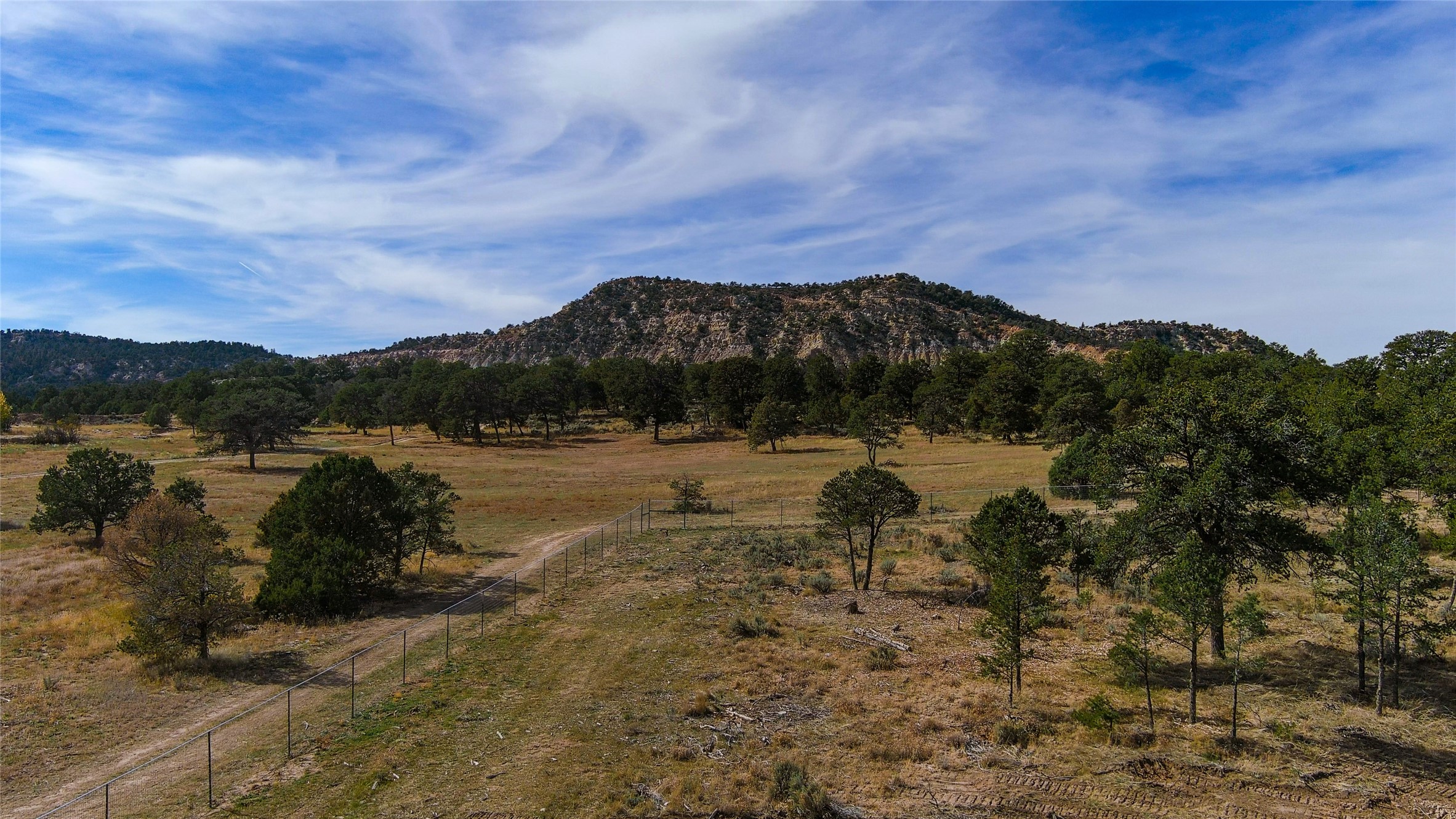 1177 State Hwy 96, Regina, New Mexico image 6