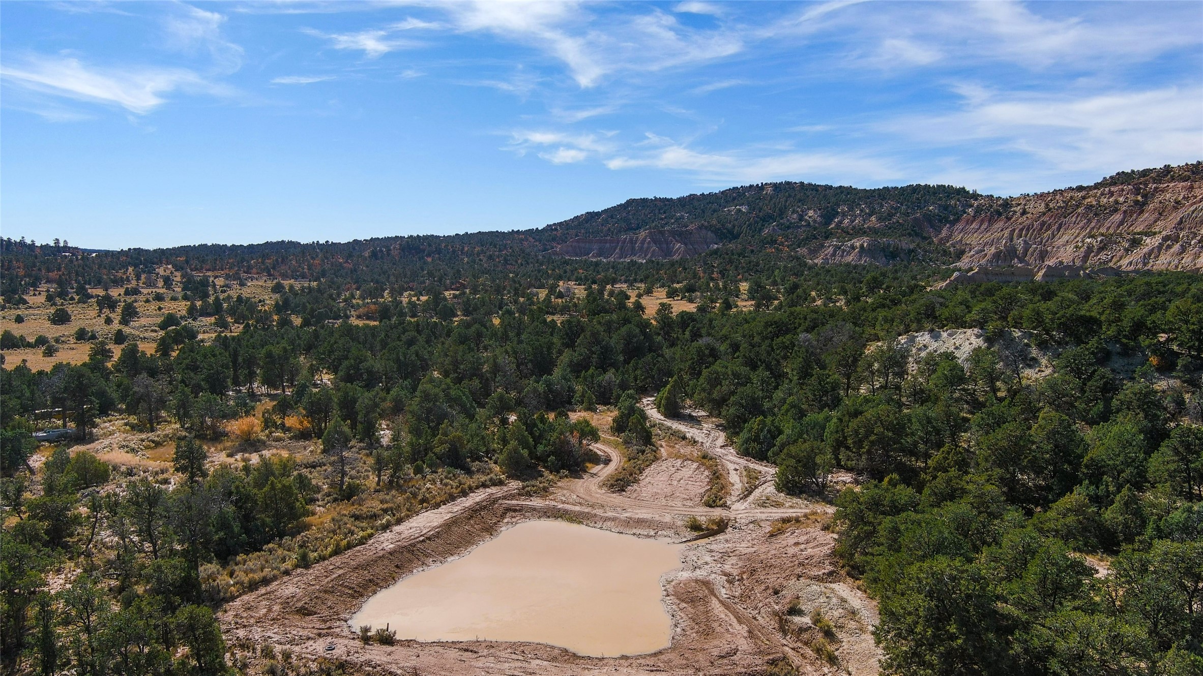 1177 State Hwy 96, Regina, New Mexico image 3