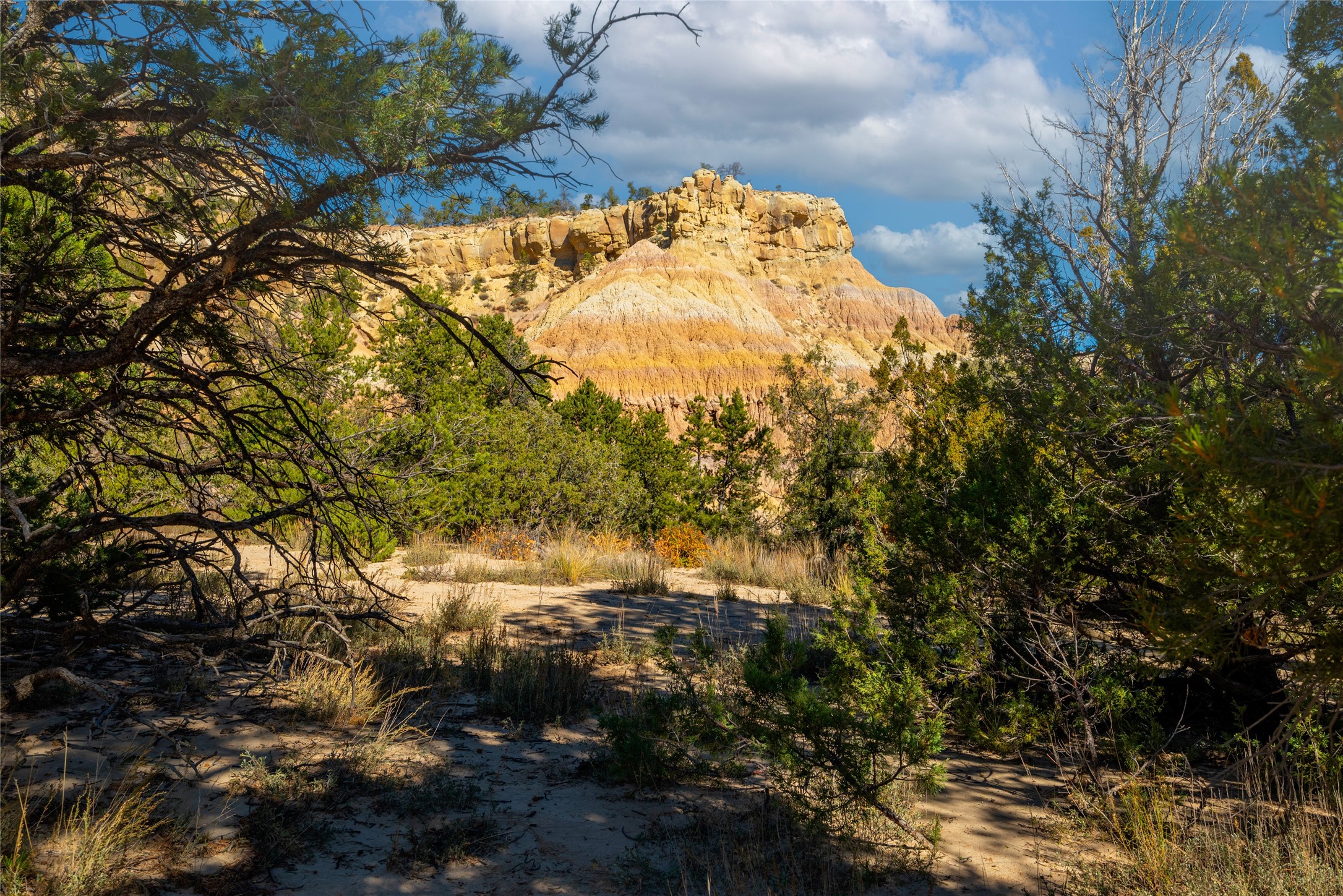 1177 State Hwy 96, Regina, New Mexico image 4