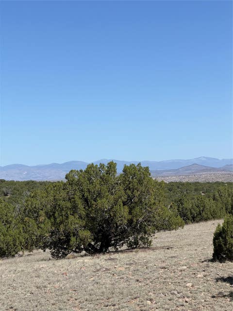 Tiny photo for 7 Rancho De Shama #A, Cerrillos, NM 87010 (MLS # 202603079)