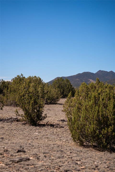 Tiny photo for 7 Rancho De Shama #A, Cerrillos, NM 87010 (MLS # 202603079)