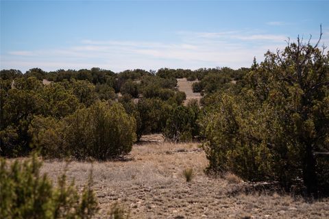 Tiny photo for 7 Rancho De Shama #A, Cerrillos, NM 87010 (MLS # 202603079)