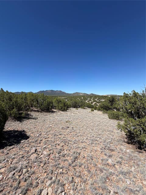 Tiny photo for 7 Rancho De Shama #A, Cerrillos, NM 87010 (MLS # 202603079)