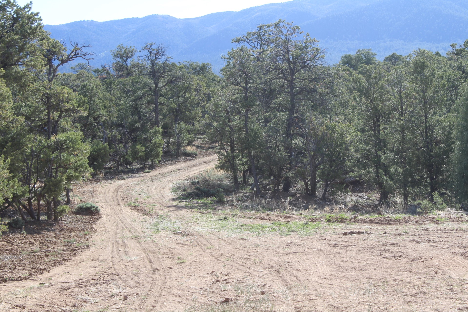101 Naranjo Creek - Photo 4
