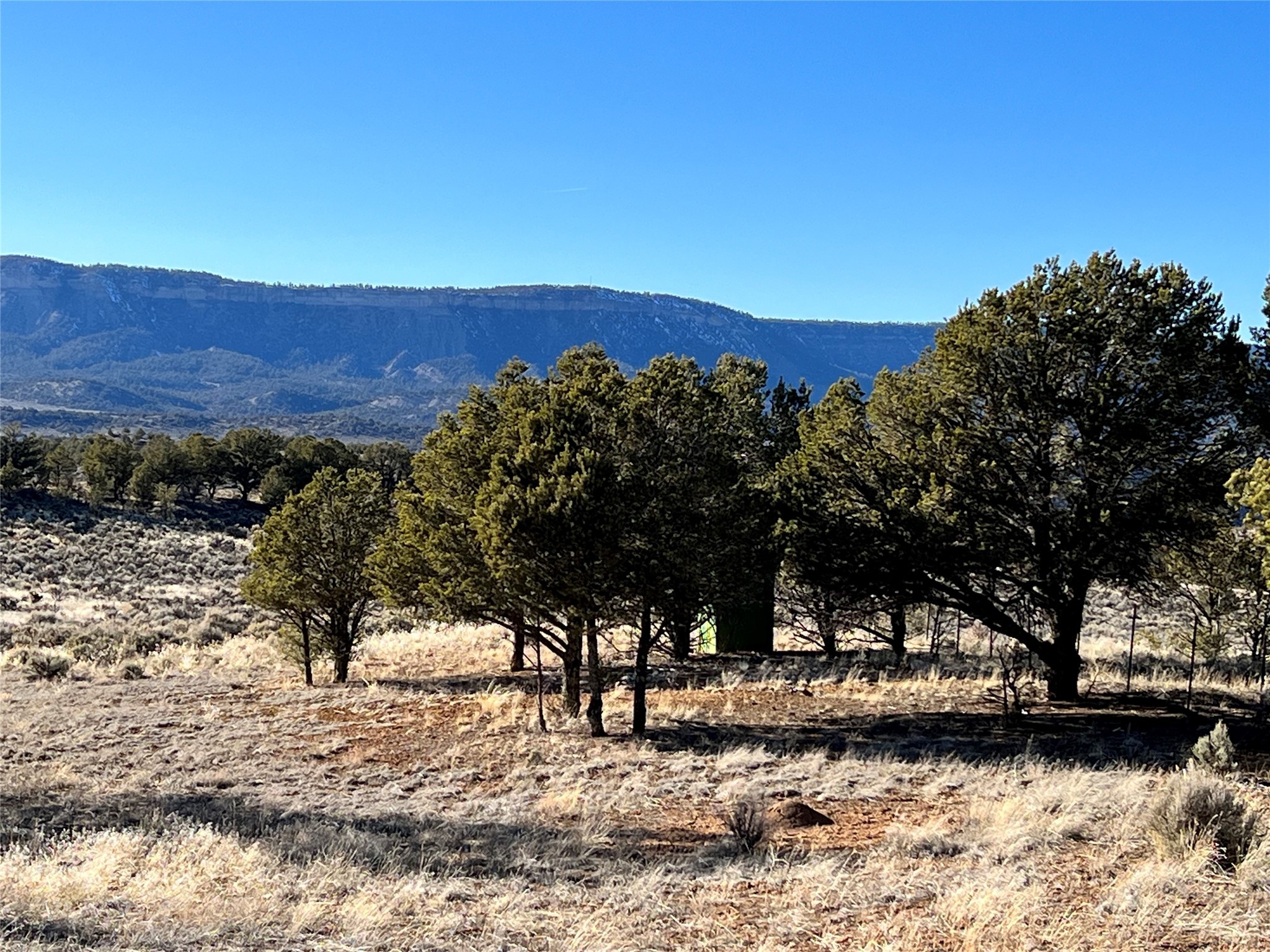 52 Canjillon Dr, Tierra Amarilla, New Mexico image 23