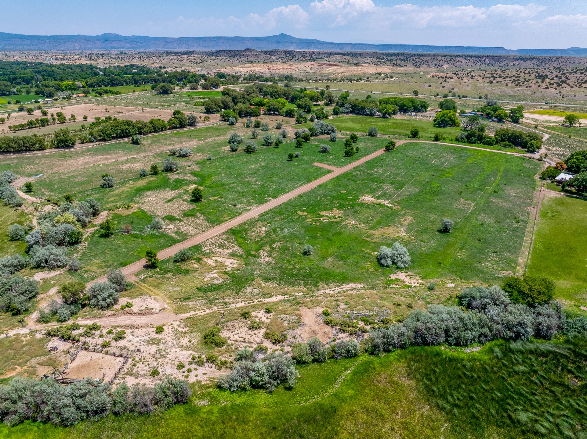 001 Sparkling Moolah, Pena Blanca, New Mexico image 8