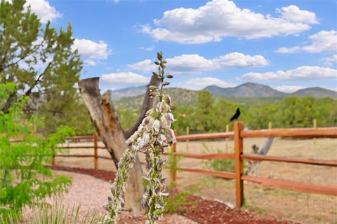 Tiny photo for 14 Verano Loop, Santa Fe, NM 87508 (MLS # 202602408)