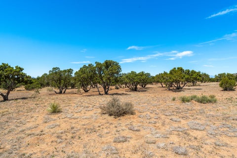 Tiny photo for 26 Sierra del Sol PL, Santa Fe, NM 87508 (MLS # 202602094)