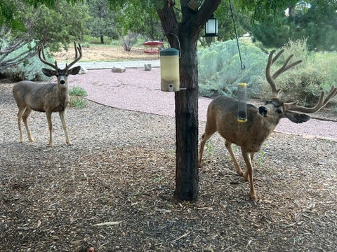 Tiny photo for 26 Sierra del Sol PL, Santa Fe, NM 87508 (MLS # 202602094)