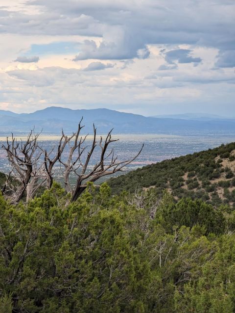 Photo of 0 Ortiz Mine Grant, Cerrillos, NM 87010 (MLS # 202503726)