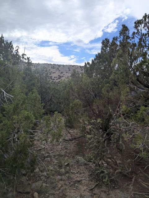 Tiny photo for 0 Ortiz Mine Grant, Cerrillos, NM 87010 (MLS # 202503726)