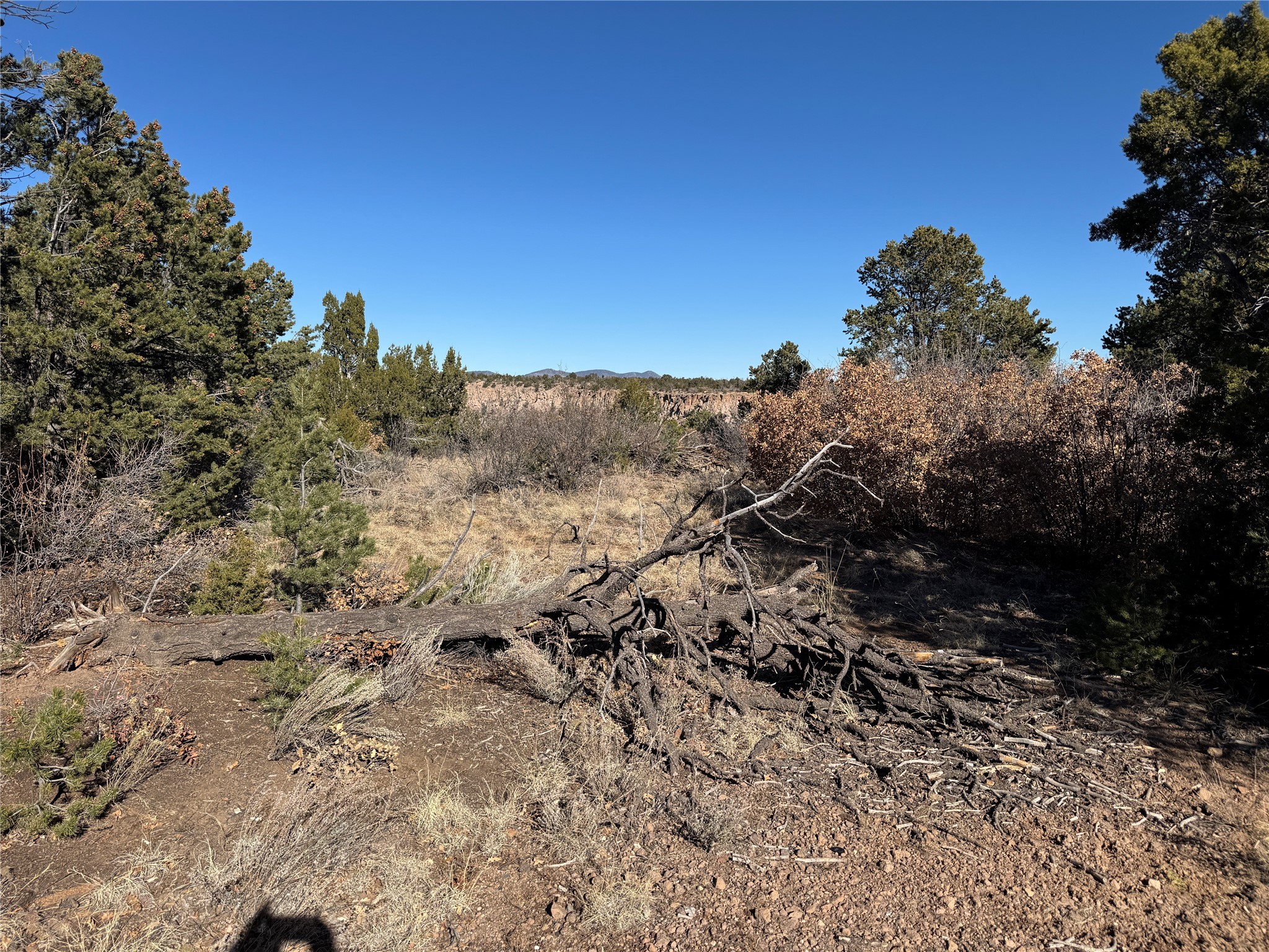 1030 Los Pueblos St, Los Alamos, New Mexico image 4