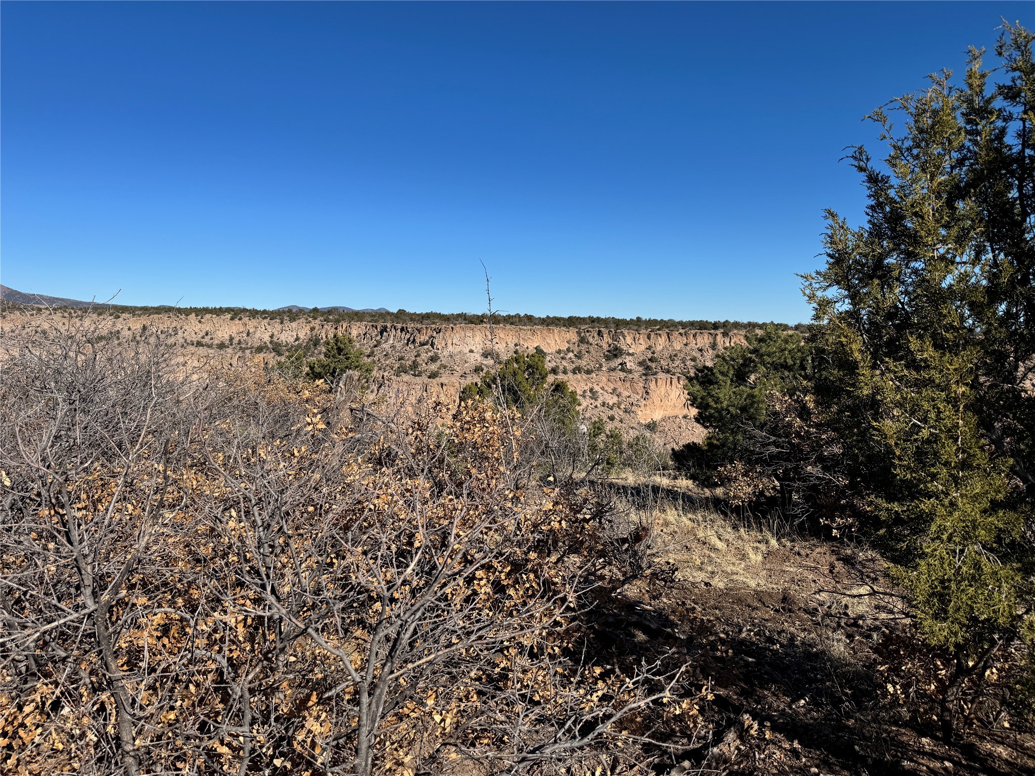 1030 Los Pueblos St, Los Alamos, New Mexico image 3