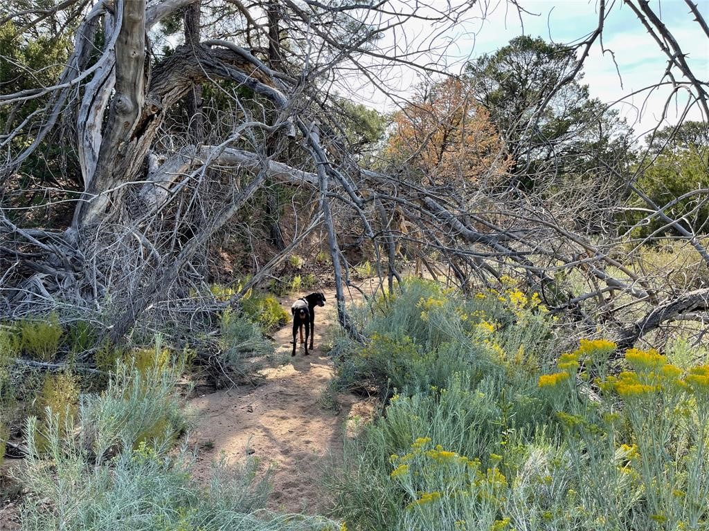 7522 Old Santa Fe Trail, Santa Fe, New Mexico image 3