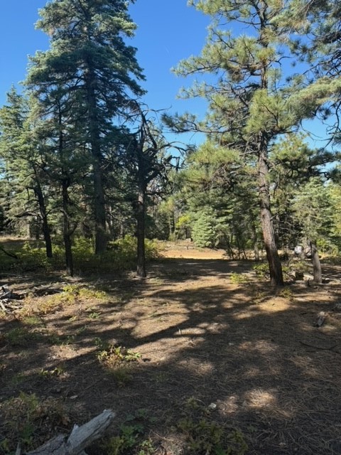 TBD Pd 1781, Chama, New Mexico image 4