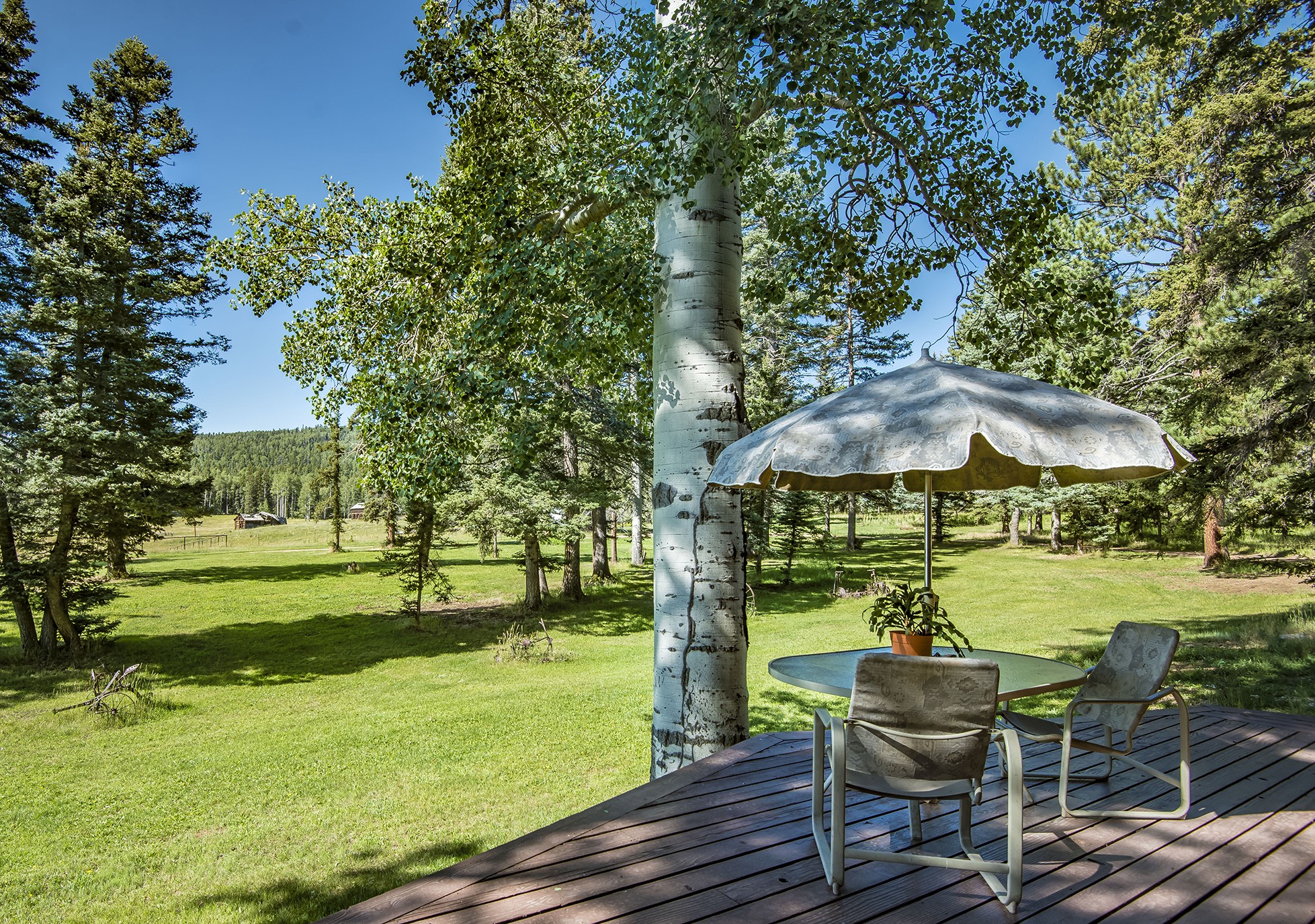 53 Forest Rd 76, Angel Fire, New Mexico image 5