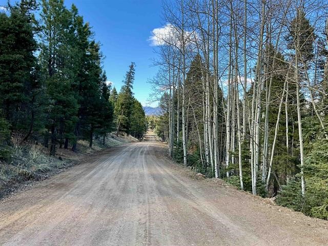 53 Forest Rd 76, Angel Fire, New Mexico image 42