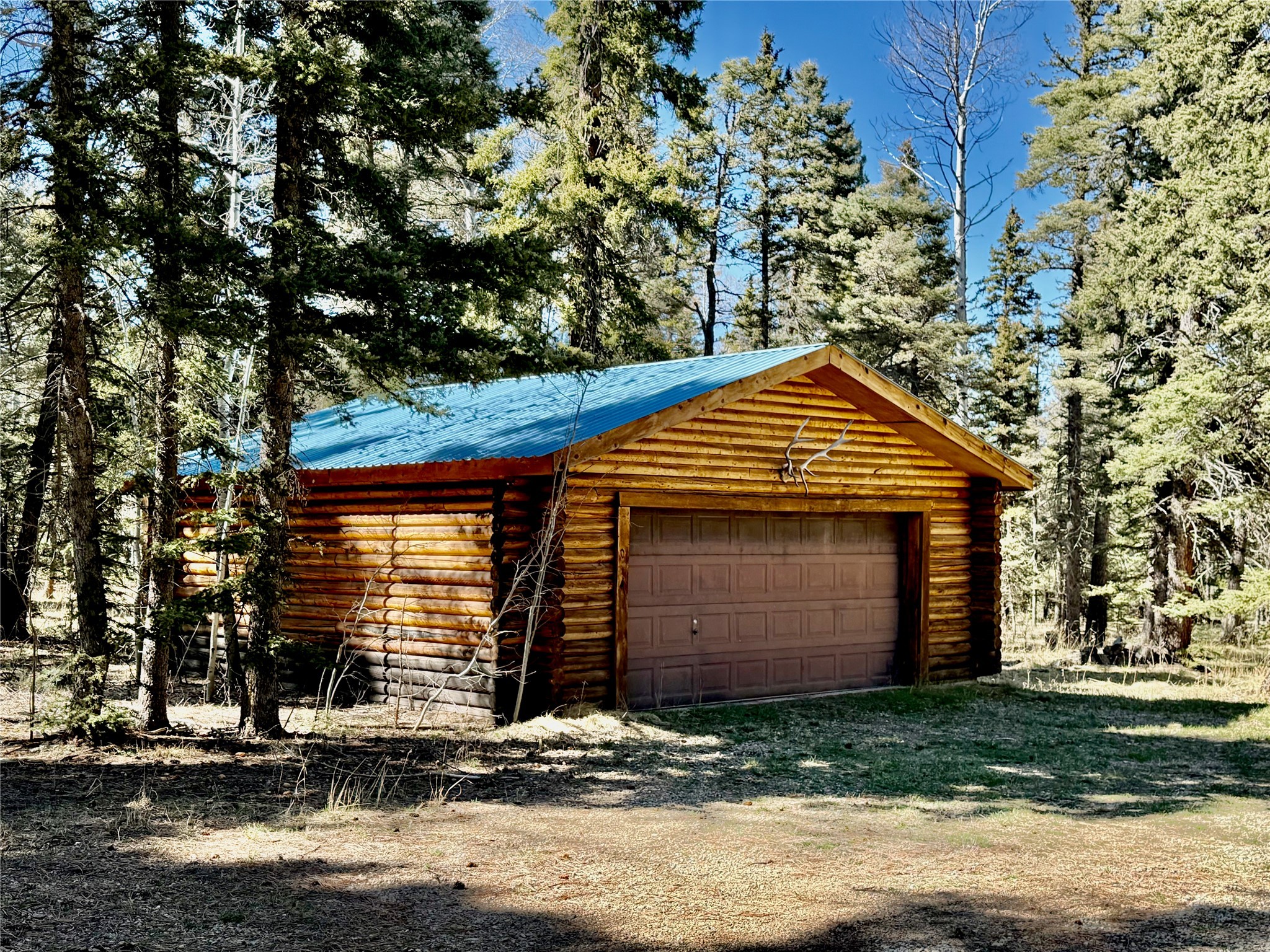 53 Forest Rd 76, Angel Fire, New Mexico image 33