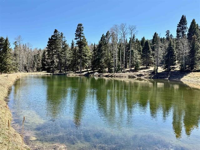 53 Forest Rd 76, Angel Fire, New Mexico image 40