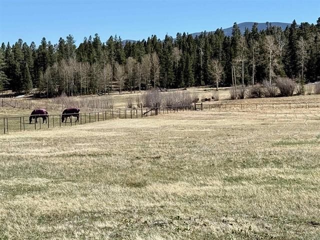 53 Forest Rd 76, Angel Fire, New Mexico image 38