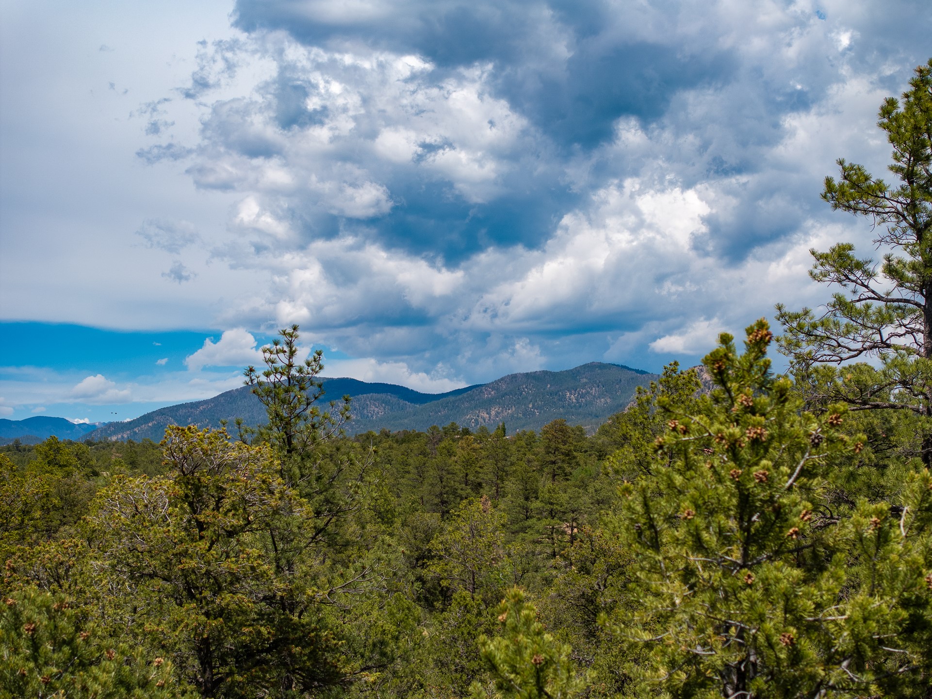 22 Madre De Dios, Santa Fe, New Mexico image 35