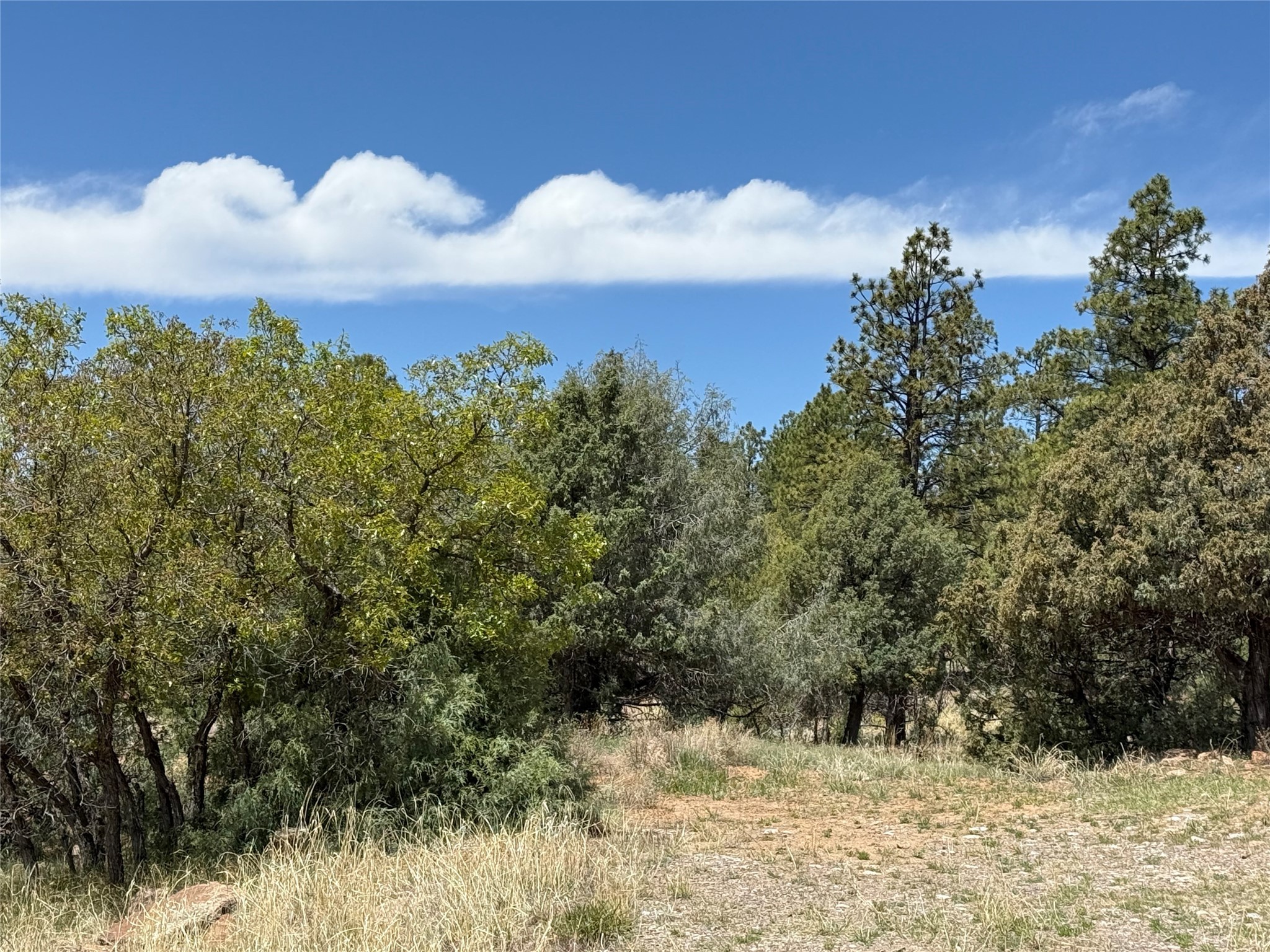 33 Buck Dr Dr, Los Ojos, New Mexico image 4